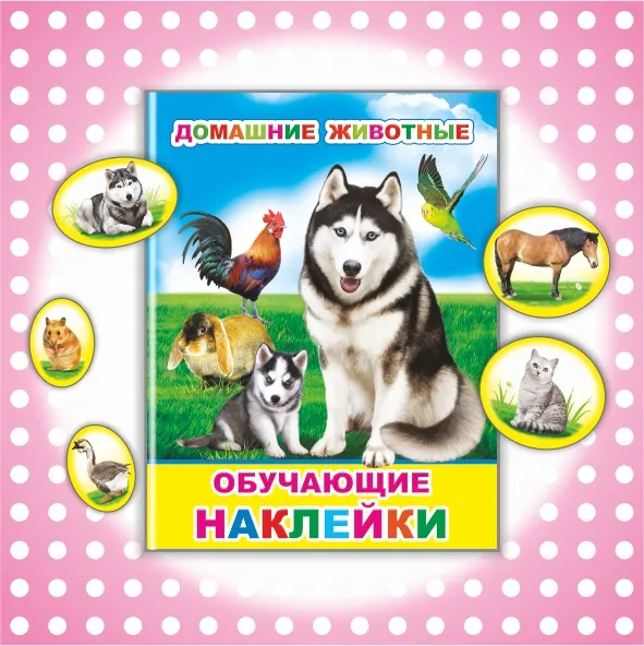 Фото категории